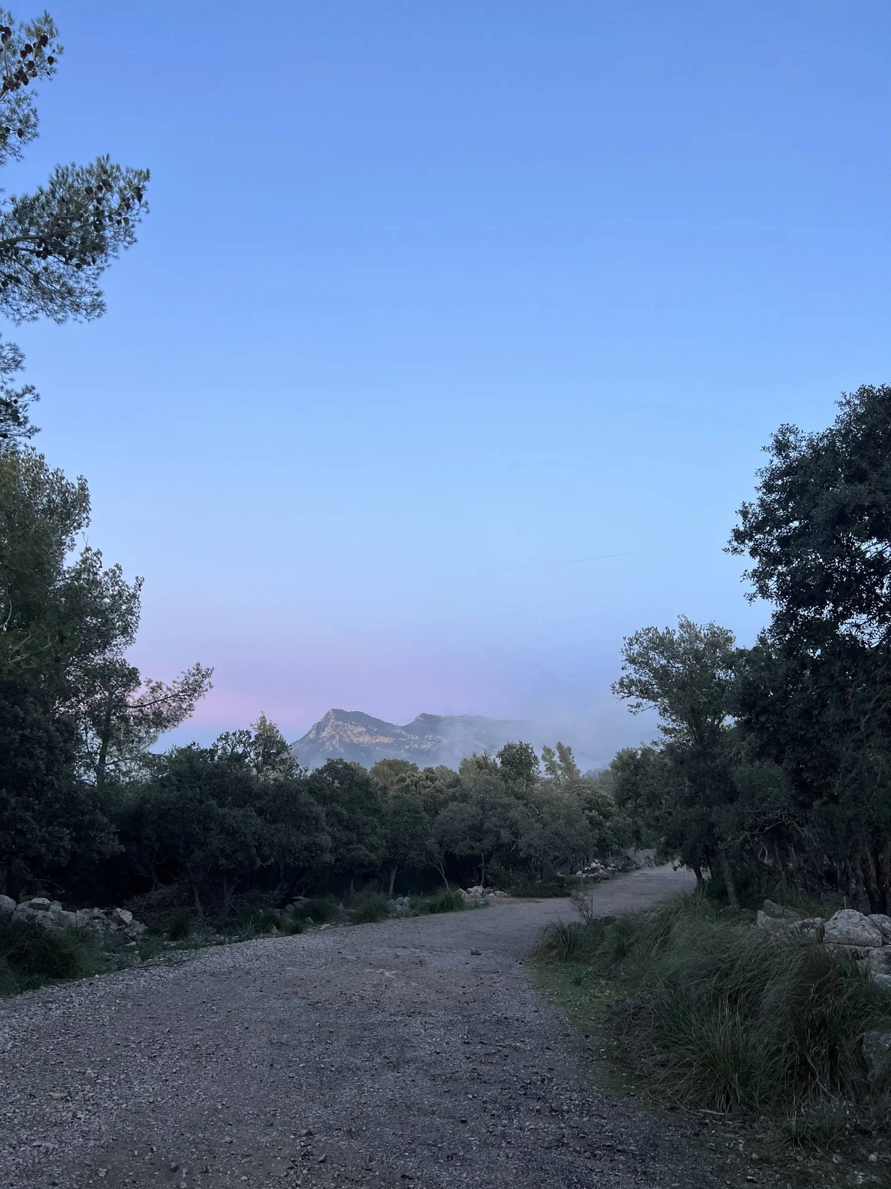 A dirt track between holm oaks at dusk, with the mountains outlined against a still-pink sky.