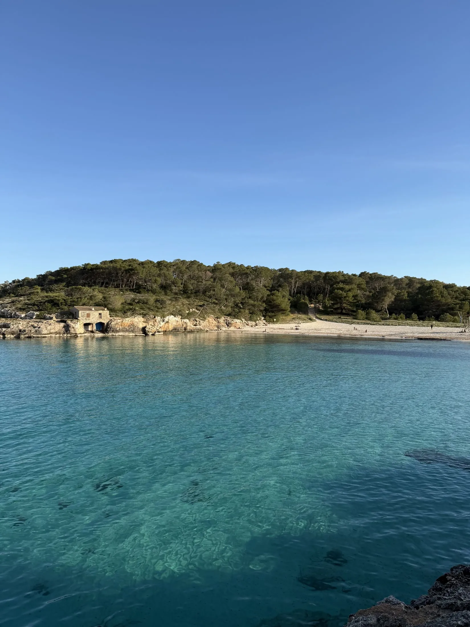 The beach at Cala Mondragó seen from the path, with sand and pine wood around it